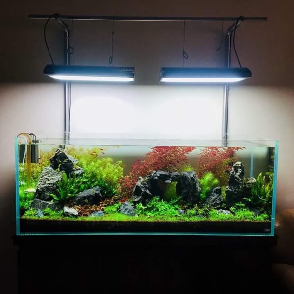 Plantation Aquarium